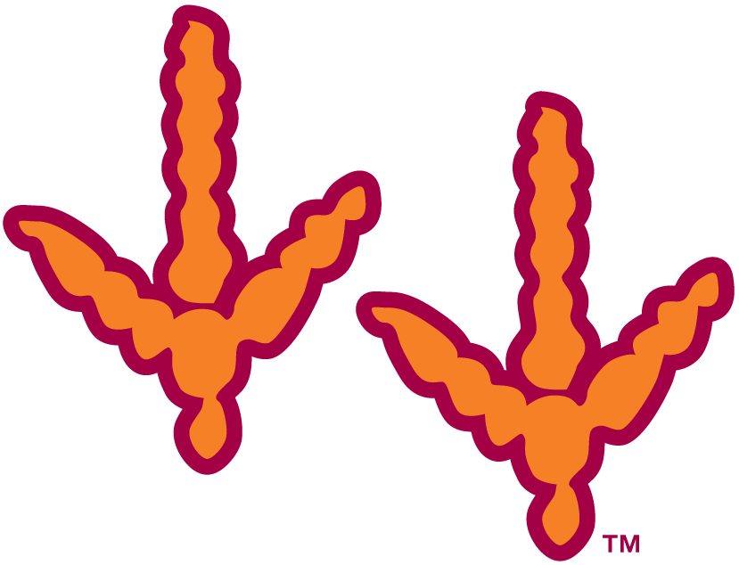 Virginia Tech Hokies 2000-Pres Alternate Logo v2 iron on transfers for clothing